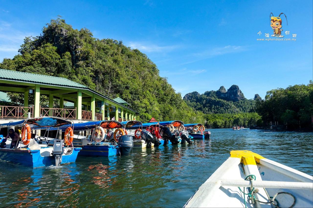 Jelajahi Hutan Mangrove Langkawi: Ekosistem Pesisir yang Menakjubkan